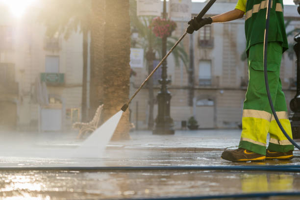 Best Gutter Cleaning  in Plainwell, MI